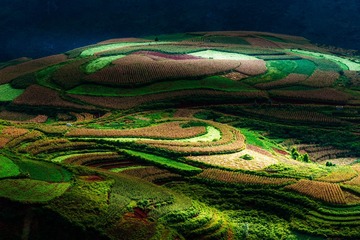 红土地-13