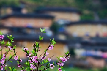 四菜一汤-5