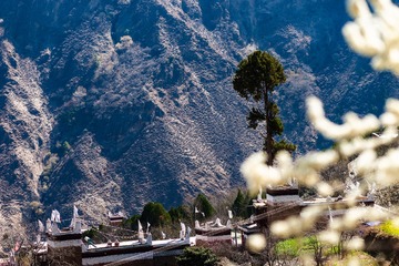 甲居藏寨-5