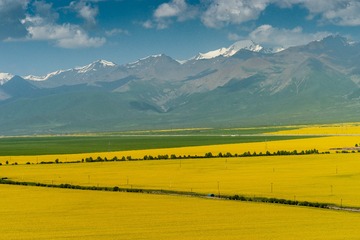 _DSC3136