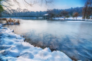 _DSC5278