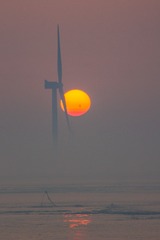 _DSC3854
