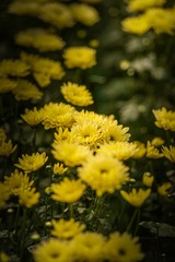 _DSC4800