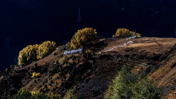_DSC7607
