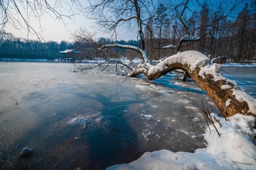 _DSC5280