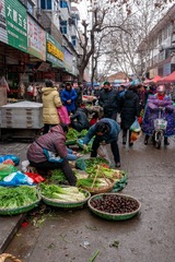 _DSC6895