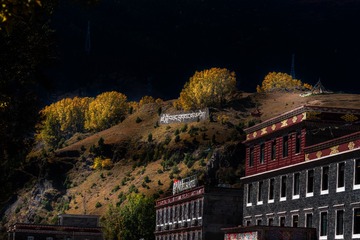 _DSC7605