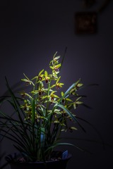 _DSC6807