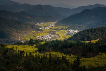 _DSC6437