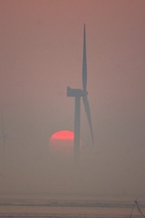 _DSC3846