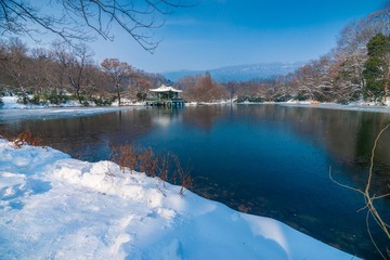 _DSC5295
