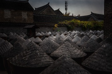 _DSC0174