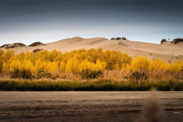 _DSC7886