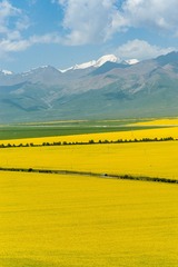 _DSC3139