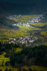 _DSC6433