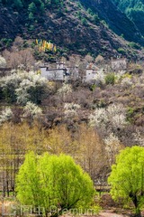 _DSC3106