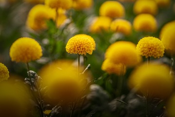 _DSC4793