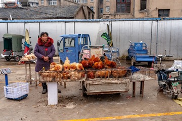 _DSC6884