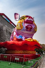 _DSC6842