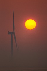 _DSC3867