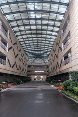 _DSC6386