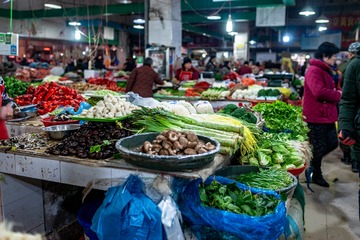 _DSC6905