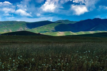 _DSC3732