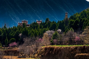 _DSC2900