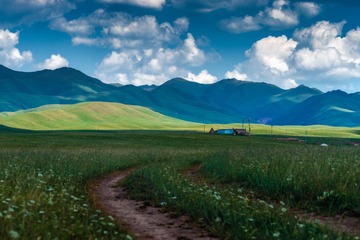 _DSC3734