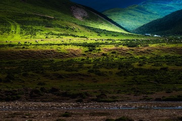 _DSC3815