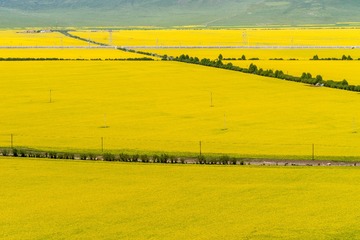 _DSC3137