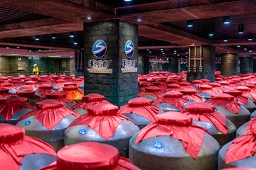 _DSC6393