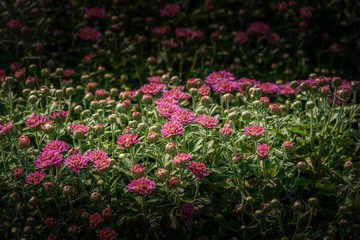 _DSC4764