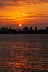 _DSC4725