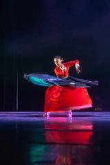 _DSC4740