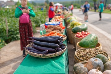 _DSC6779