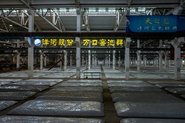 _DSC6413