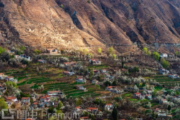 _DSC3076