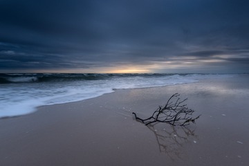 _DSC5002