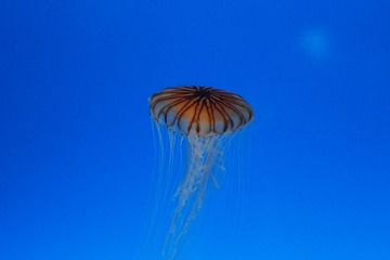 P1010623
