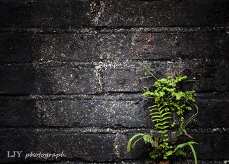 _MG_1760-1.jpg