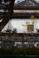 _MG_1803-1.jpg