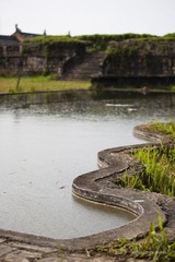 _MG_1856-1.jpg