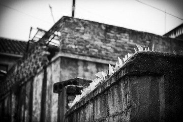 _MG_8007-编辑-1.jpg