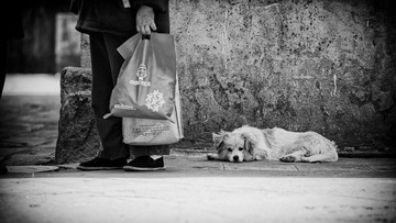 _MG_8008-编辑-1.jpg