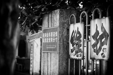 _MG_8020-编辑-1.jpg