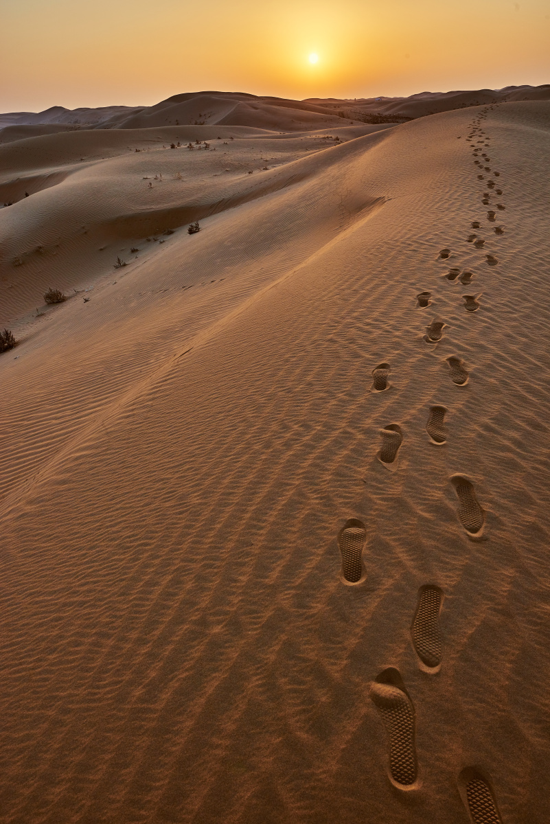 沙漠足迹