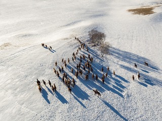 DJI_0017