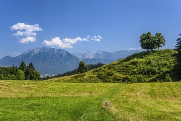 DSC_2323A