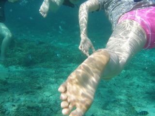 浮潜
